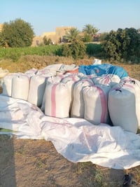 تبن جت • للبيع • مكلف بالنشر