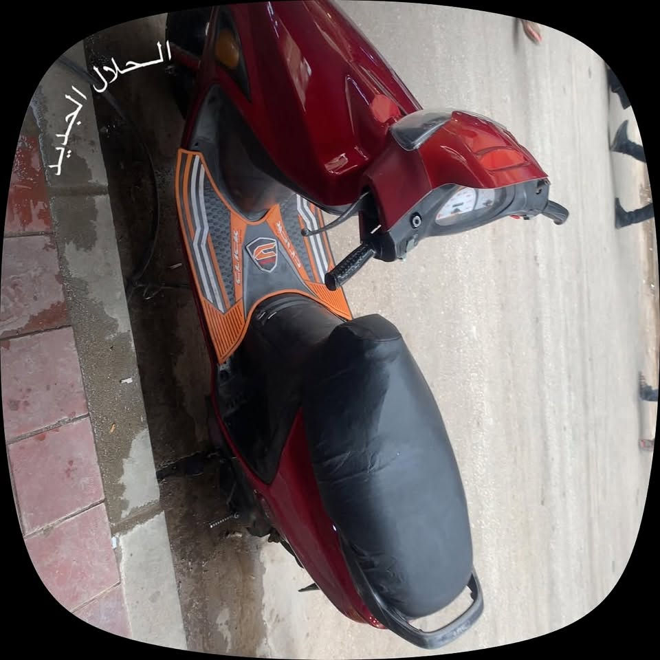 فراشة • فحل • فول نضافة