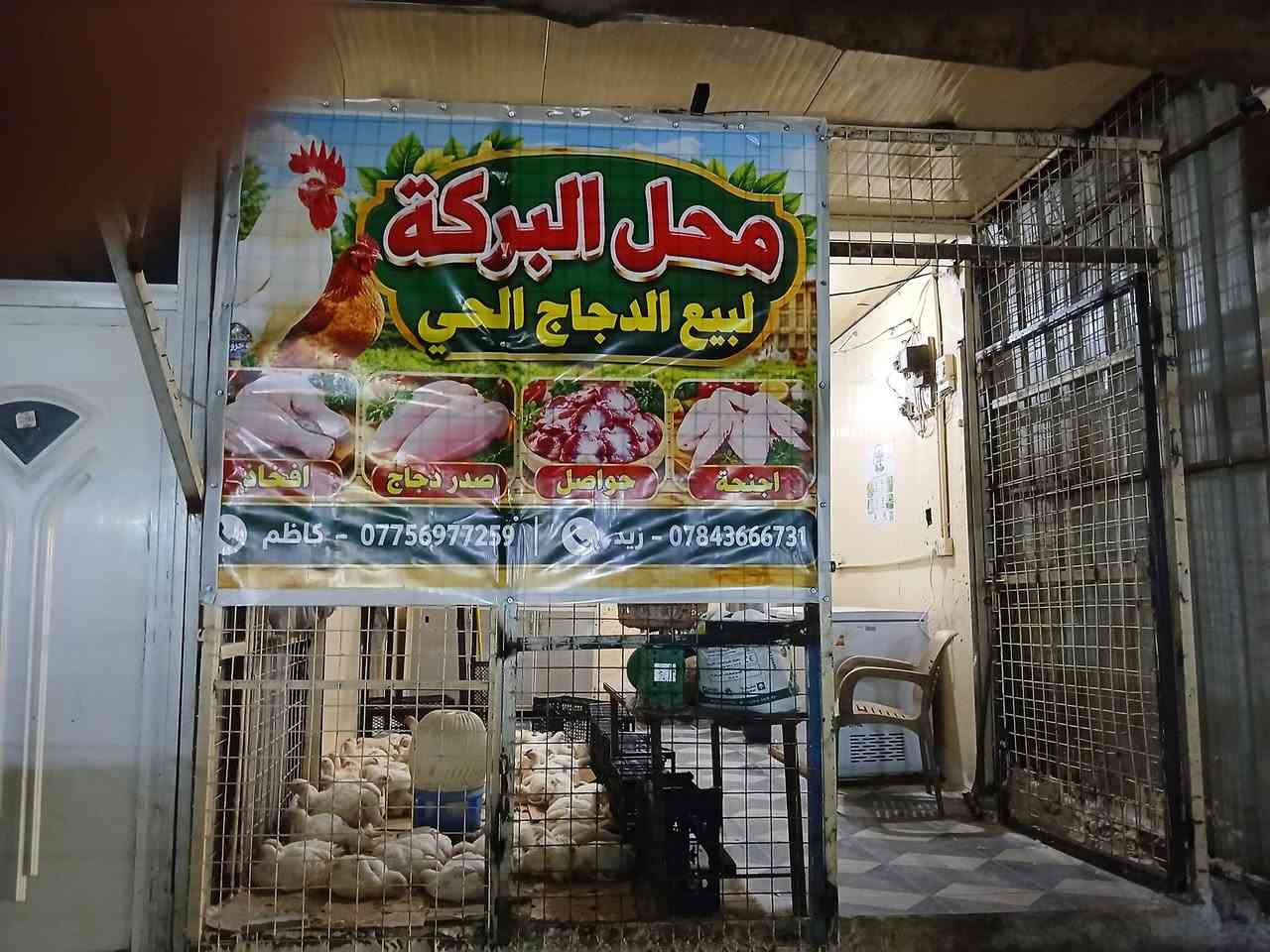 دجاج مذبوح • كبد • المحاويل