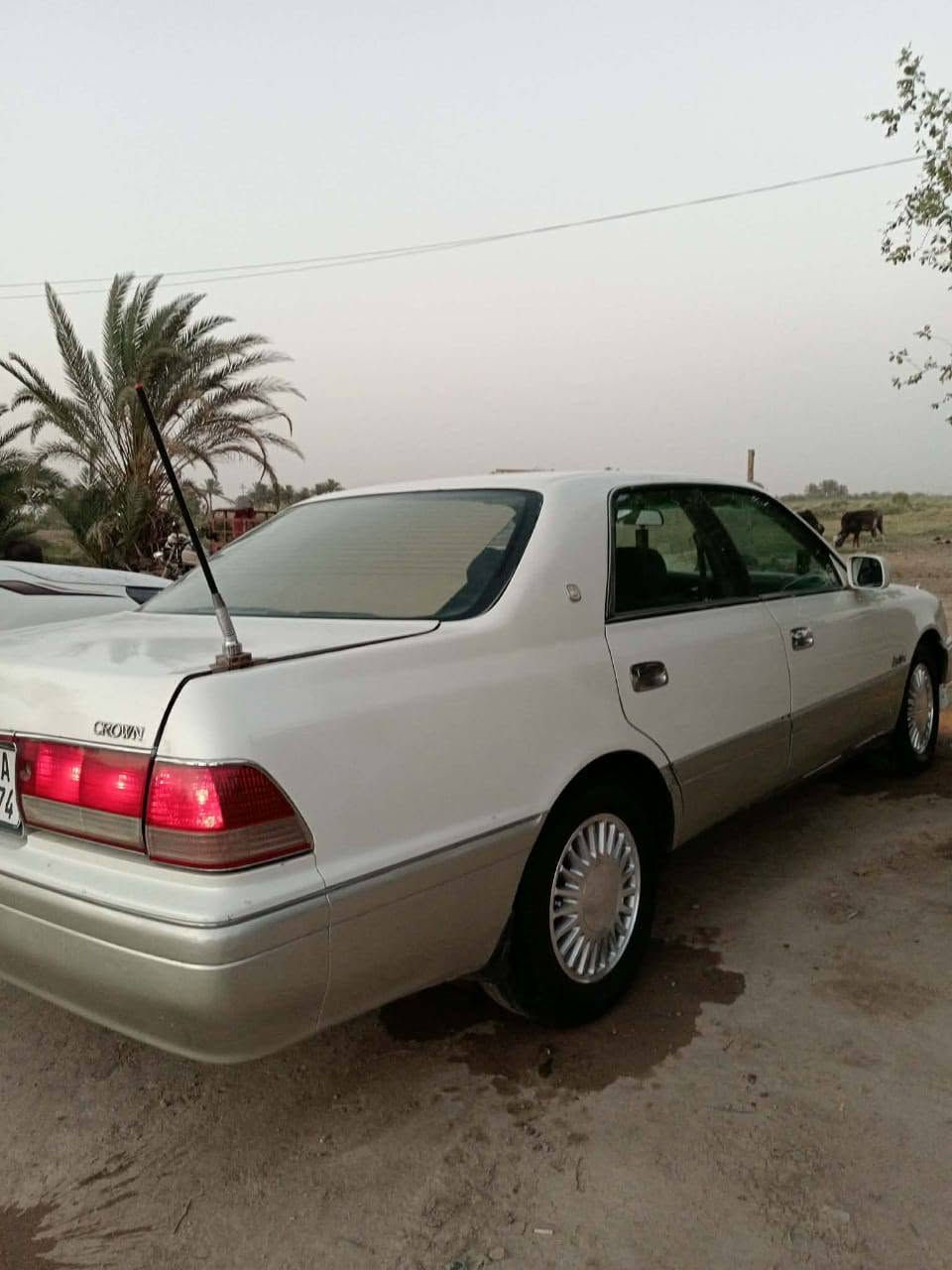 السلام عليكم راس الثور فلات للبيع
موديل 1995كصه قمارة فقط

مكينه وكير ففتي2500 كفالة حدادية تخم تاير جديد تبريد شغال كهربائيات كلها شغاله سيارة جاهزة رقم انبار نكليزي شرط لمداور

مكاني ذي قار / الشطرة
السعر70 وبيه مجال
***********
