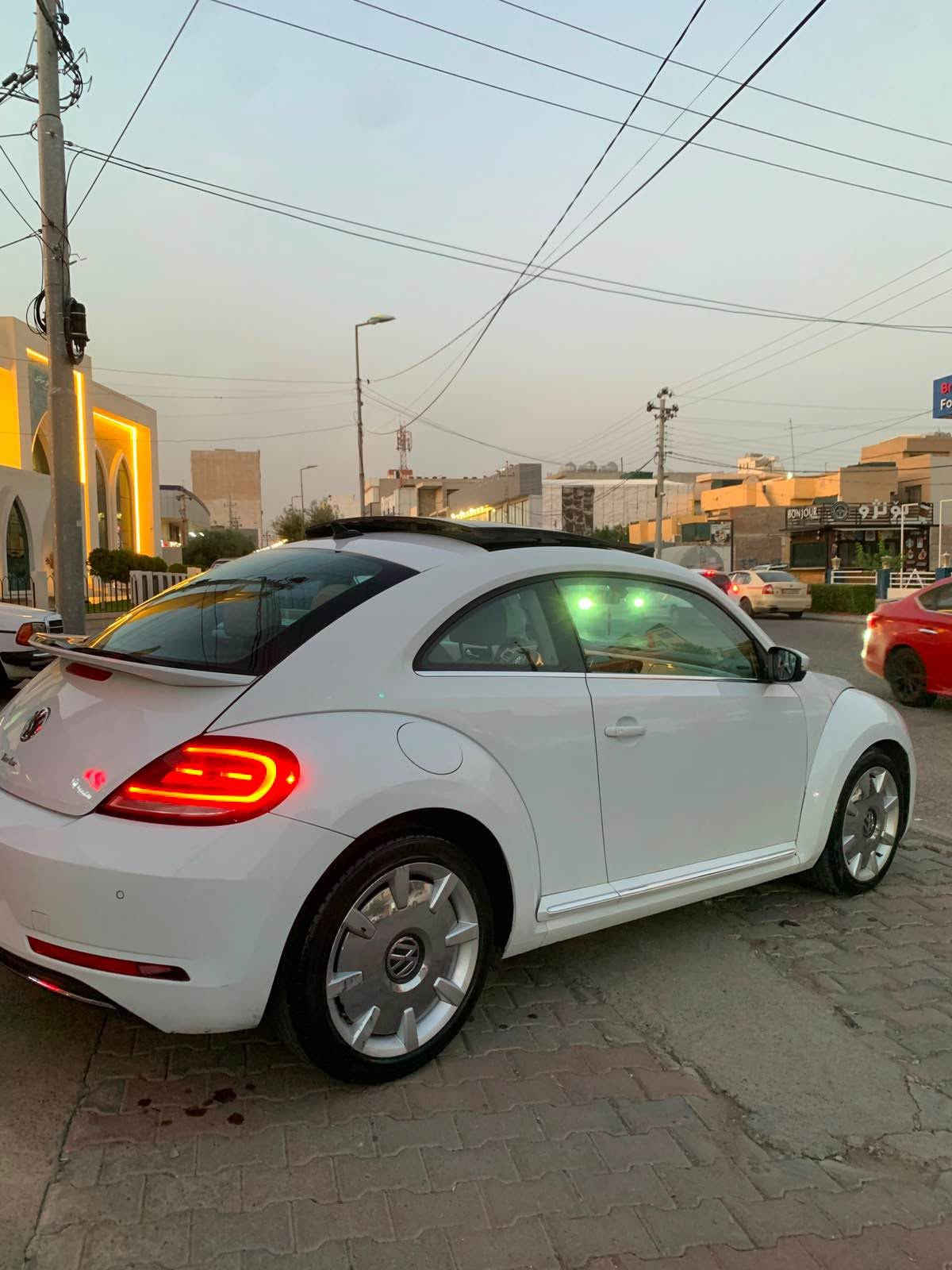 بيتل • ٢٠١٩ • وارد امريكي