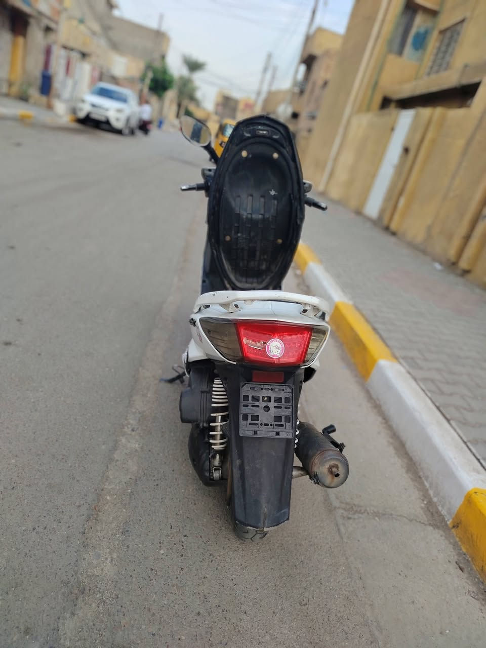 سكنس فحل • ياباني • معدل تخبل