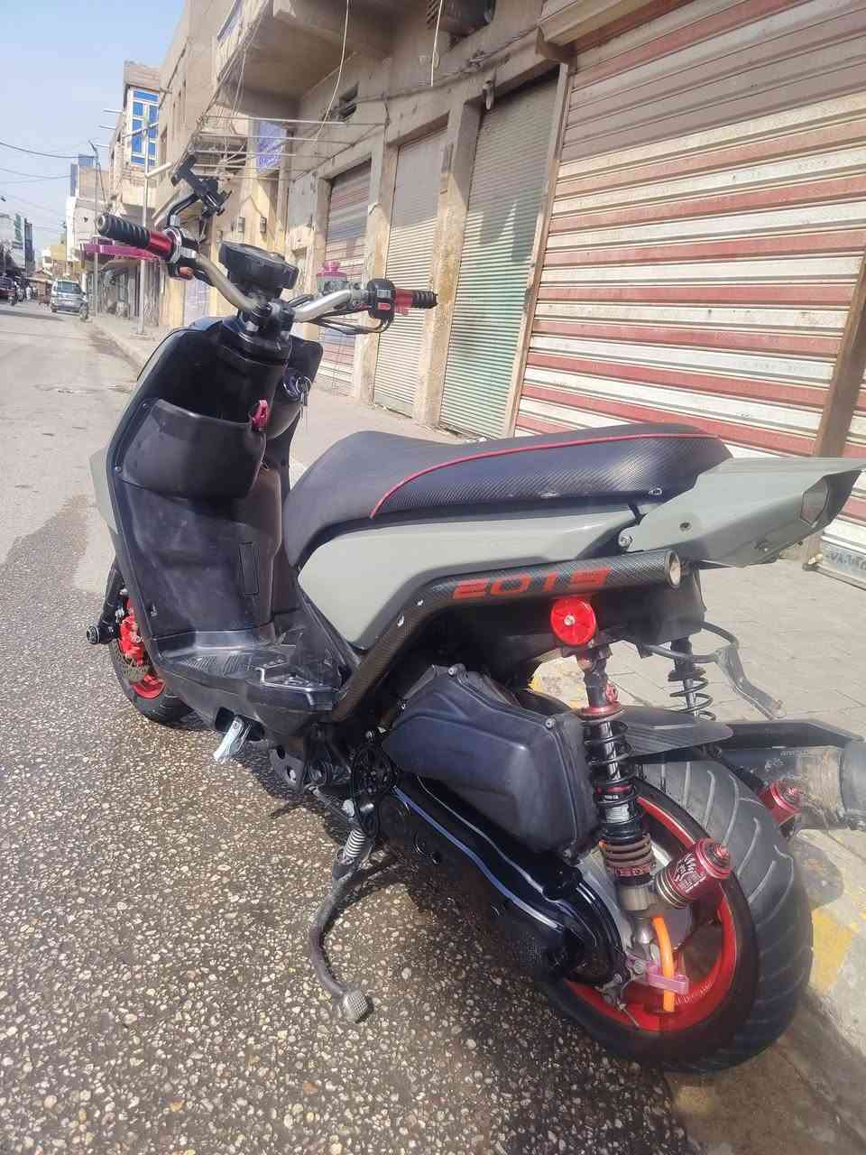 سكنس جبلي • موديل15 • مذب عليه