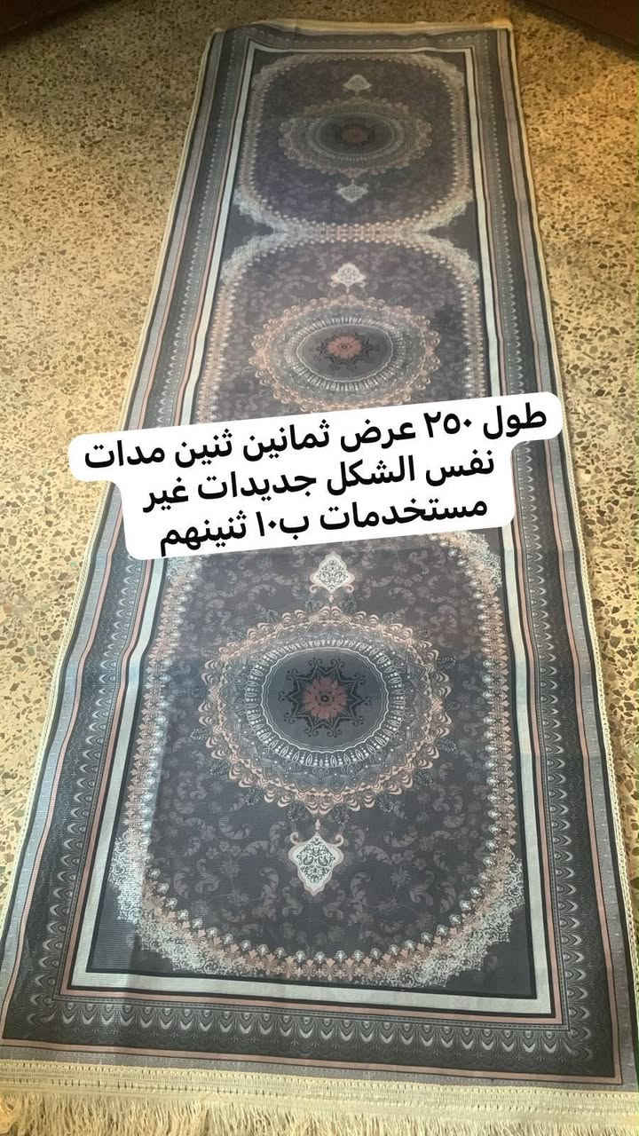 واشنطونيا • كاوية اينزو • دراجة شحن