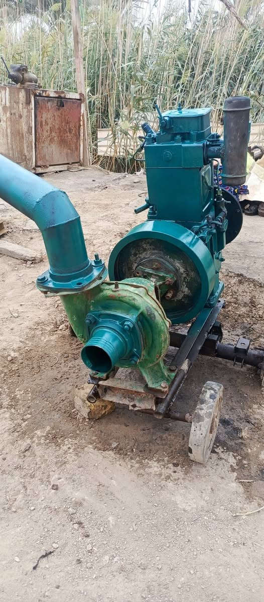 مطور ماي • نضيف • بابل الكفل