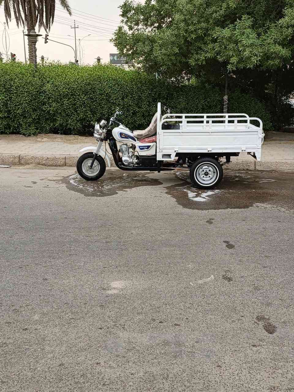 ستوته • ٢٠٢٠ • اوراق صولي