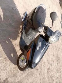 فراشه • نظيفه • شغاله