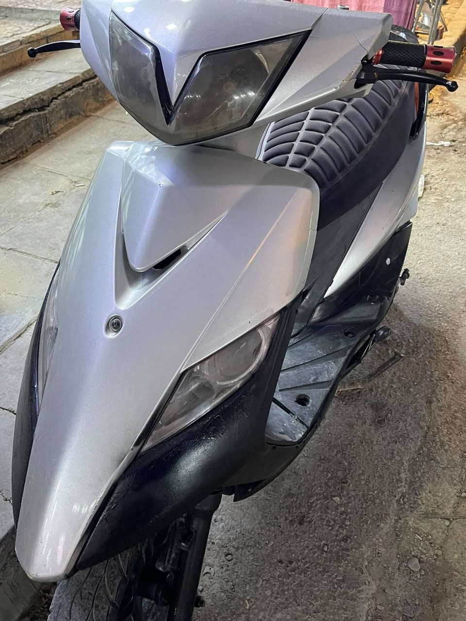 ثعلب • رياضي • فول