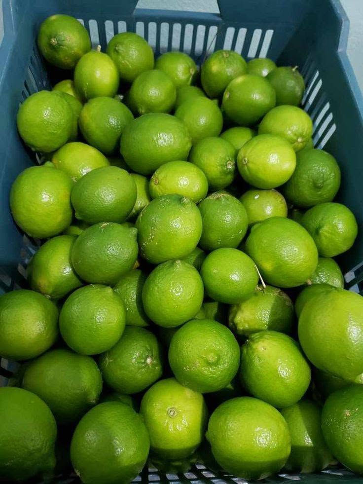 خضروات طازجة • فواكه طازجة • توصيل الديوانية