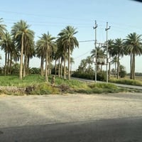 اخويه العزيز جايبلك عرض ابد ميضيع ✅ جايبلك 5 دوانم سعرهن كلهن ب 35 فرص...