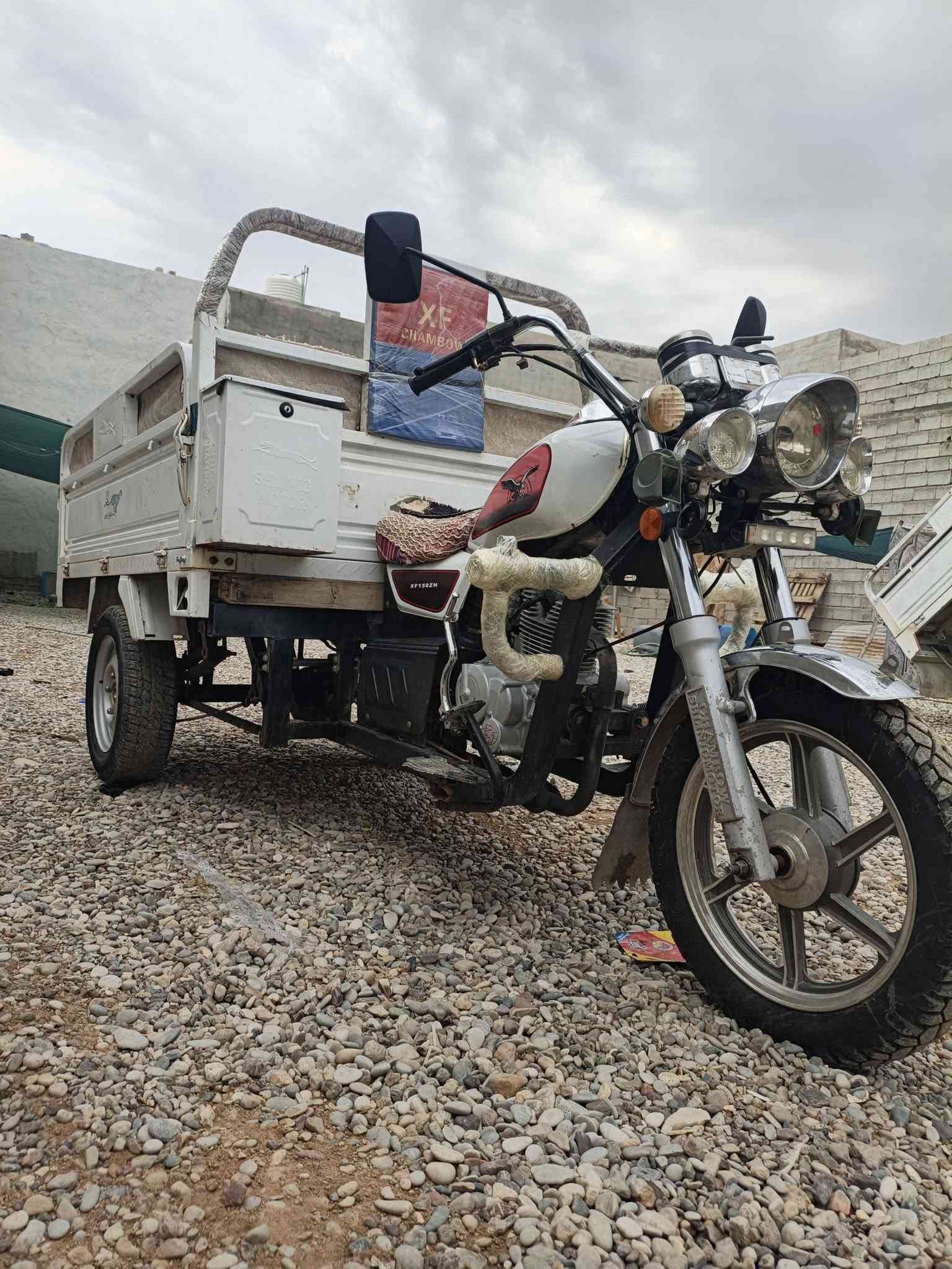 ٢٤ قلاب • أوراق • کلار