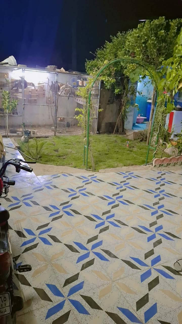 السلام عليكم بيت للبيع طابو زراعي المساحة250متر بناء حديث عالي عن الشارع يحتوي علئ غرفتين نوم وهول كبير وصاله ومطبخ وصحيات خارجية وداخلية العنوان محيزم 4 شلرع شريفه ع مقابل الملعب الخماسي وقريب من شارع 100 للاستفسار الاتصال علئ الرقم ***********
السعر125 وبيه مجال
