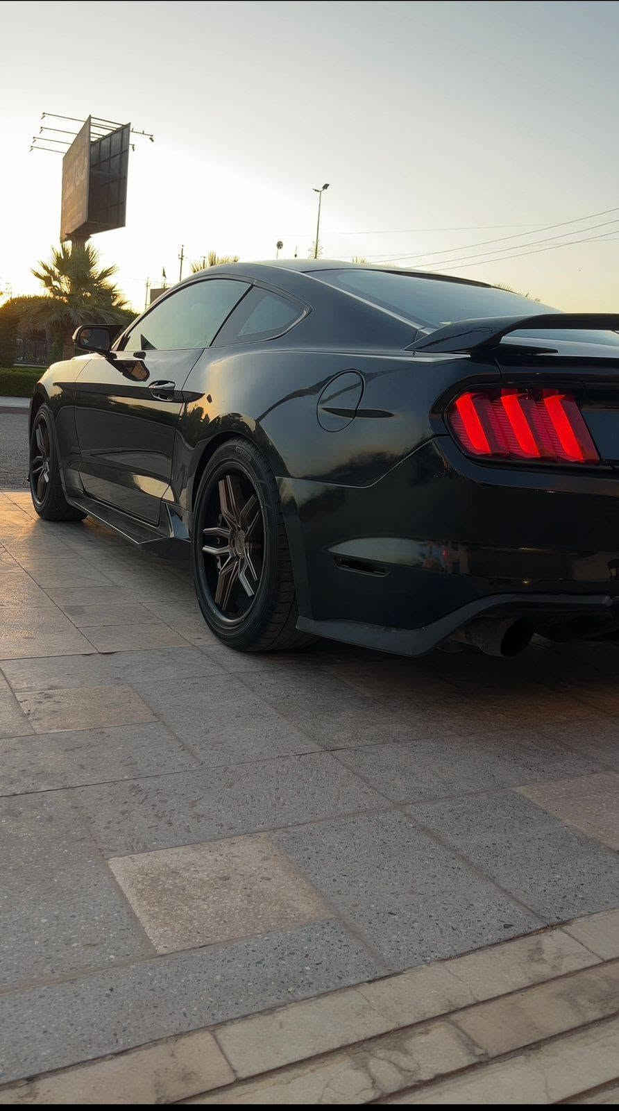 موستنك روش • ايكو بوست ٢٠١٥ • رقم بغداد
