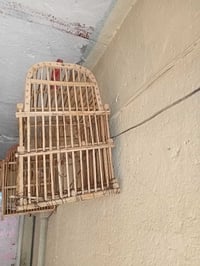 اقفاص • اثنينهم • ناصريه مركز