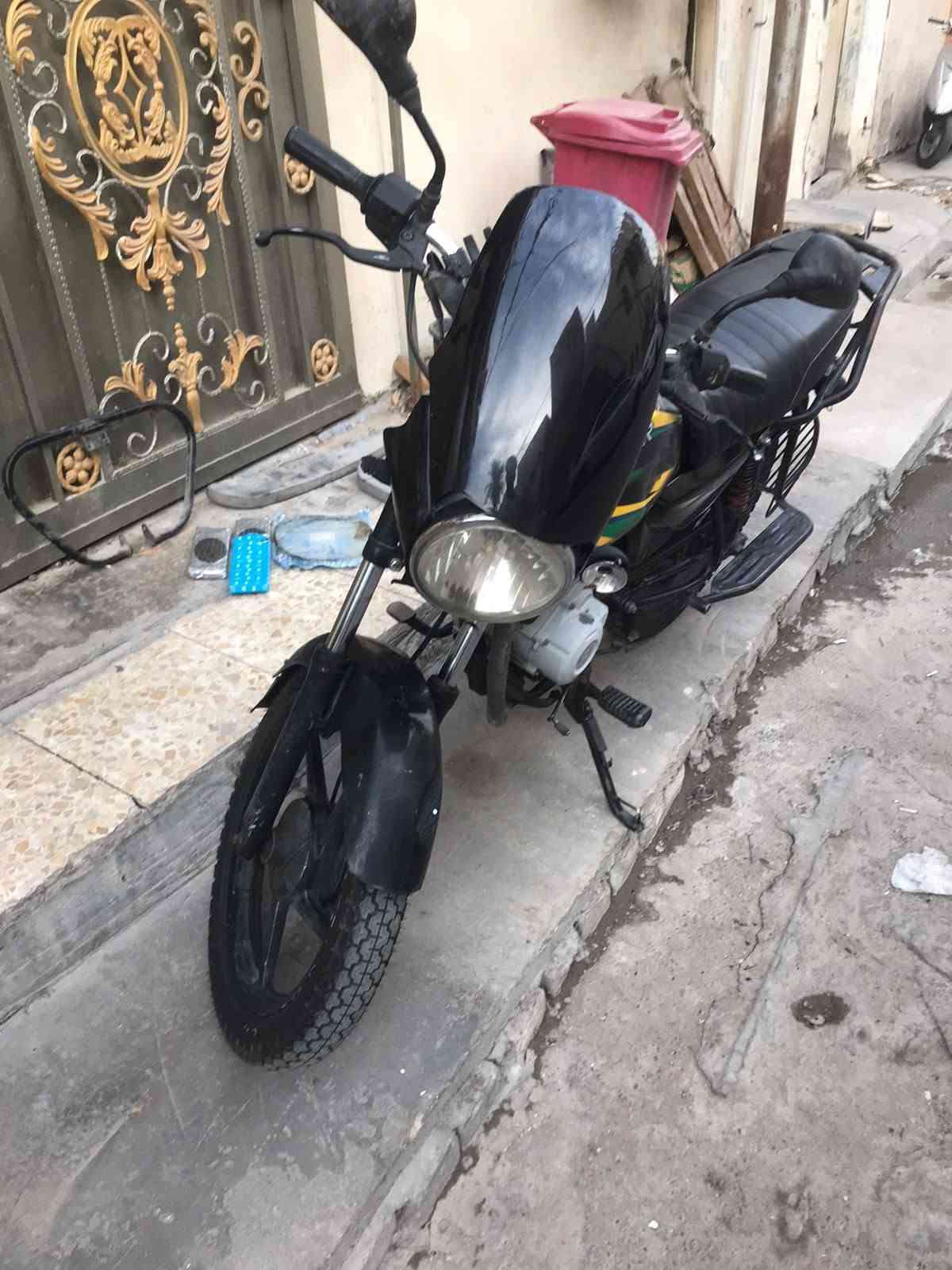 بوكسر • بدون أوراق • زنجايل شركه