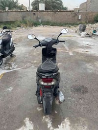 سكنس جبلي • مراوس • بفرق