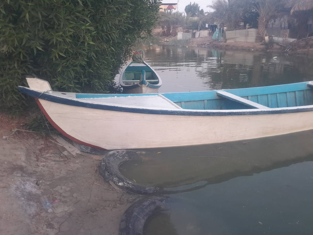 جينكوه • ١٥م • ٥م