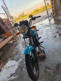 شاينك • ٢٠٢٥ • مكفوله