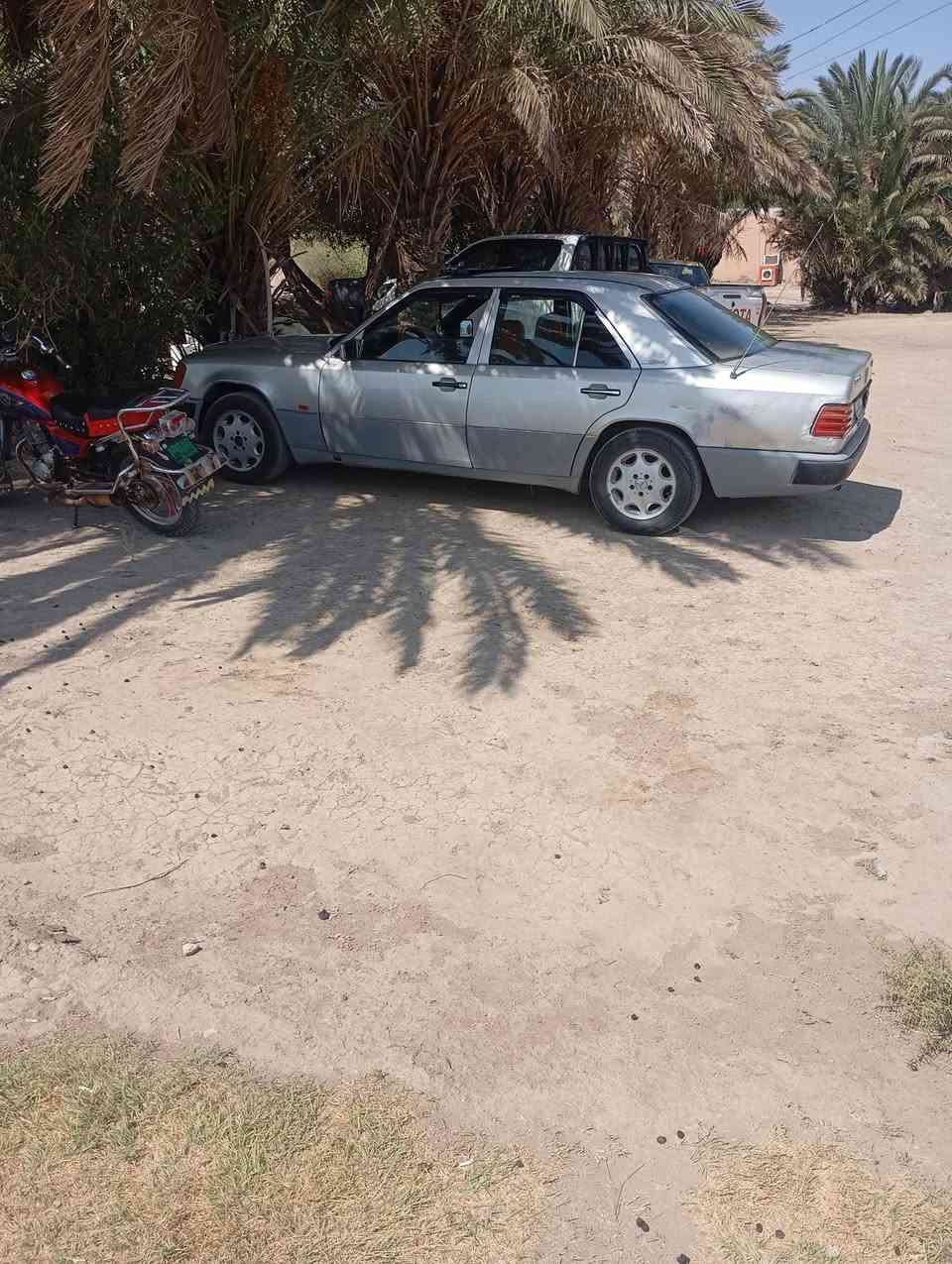 يالله دب للبيع والمراووس
السعرر 24 وبيه مجال مكاني ناصريه الغراف 
***********
