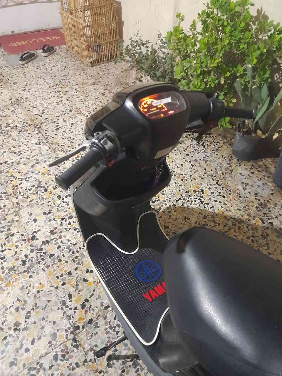 بطة • ٦٠ • نضيفه