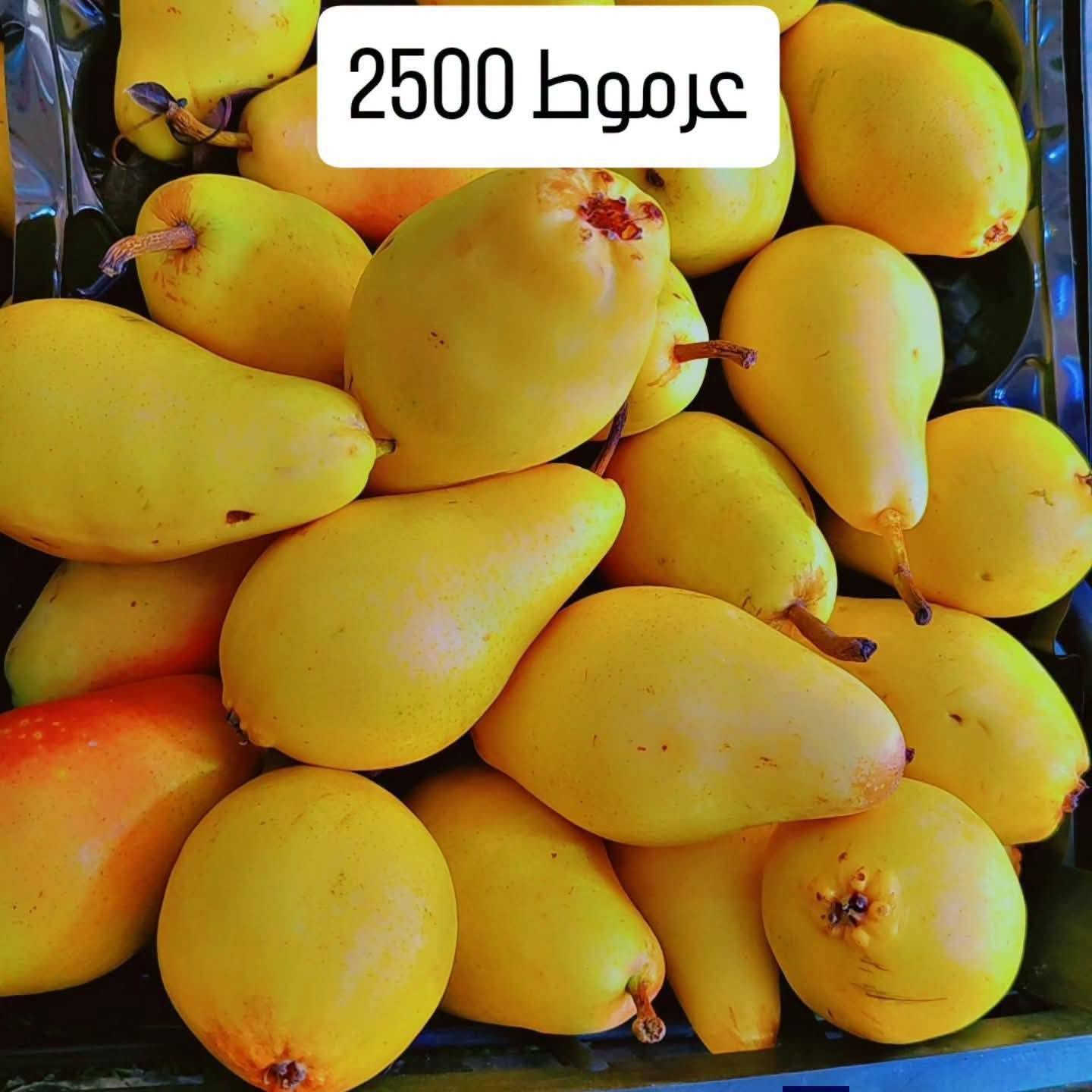 فواكه وخضار • رمان سوري • خس