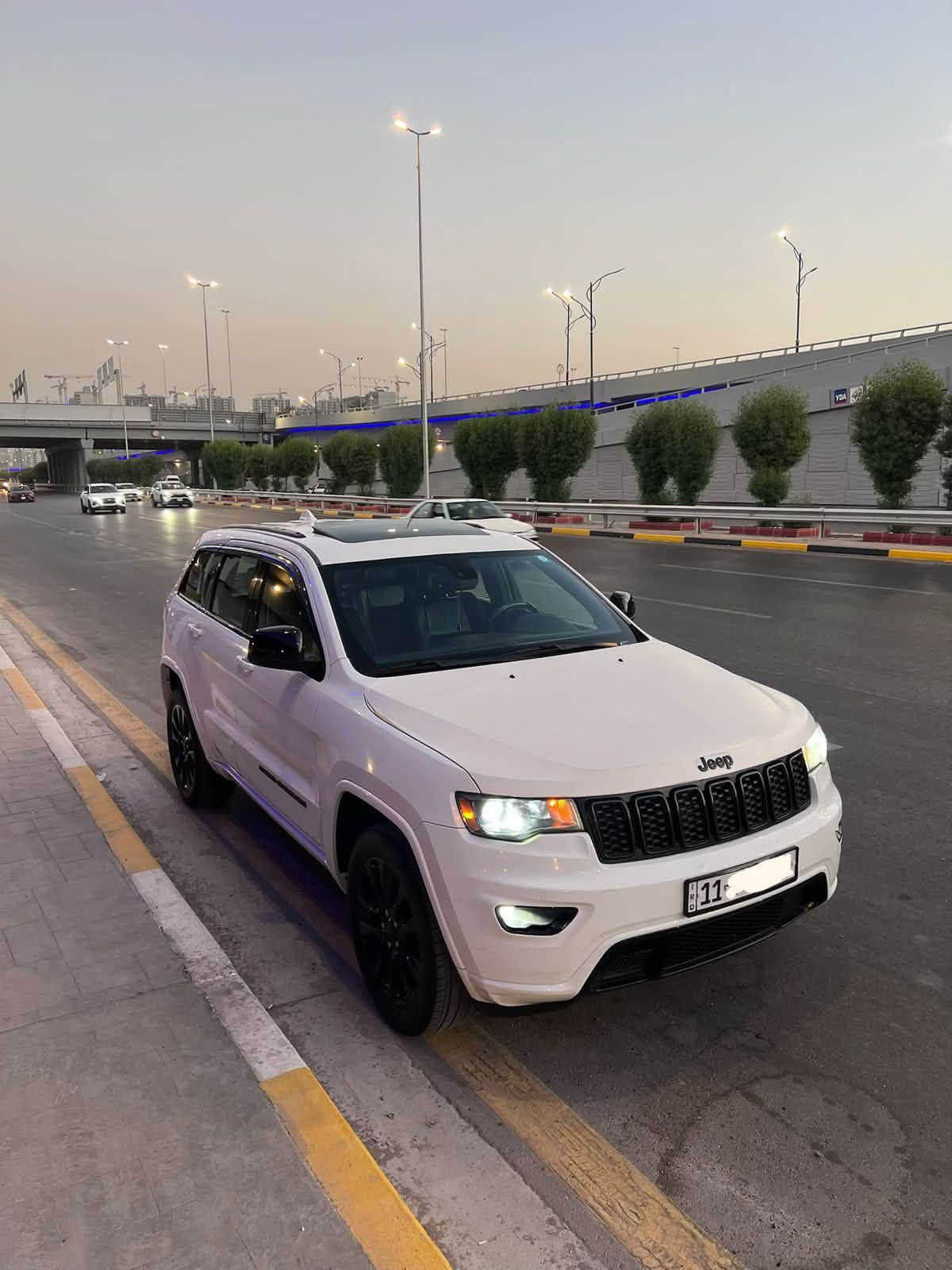 شيروكي • ٢٠١٩ • IAA