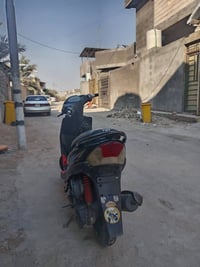 ماكس عدله • ٤٩ • شلعه