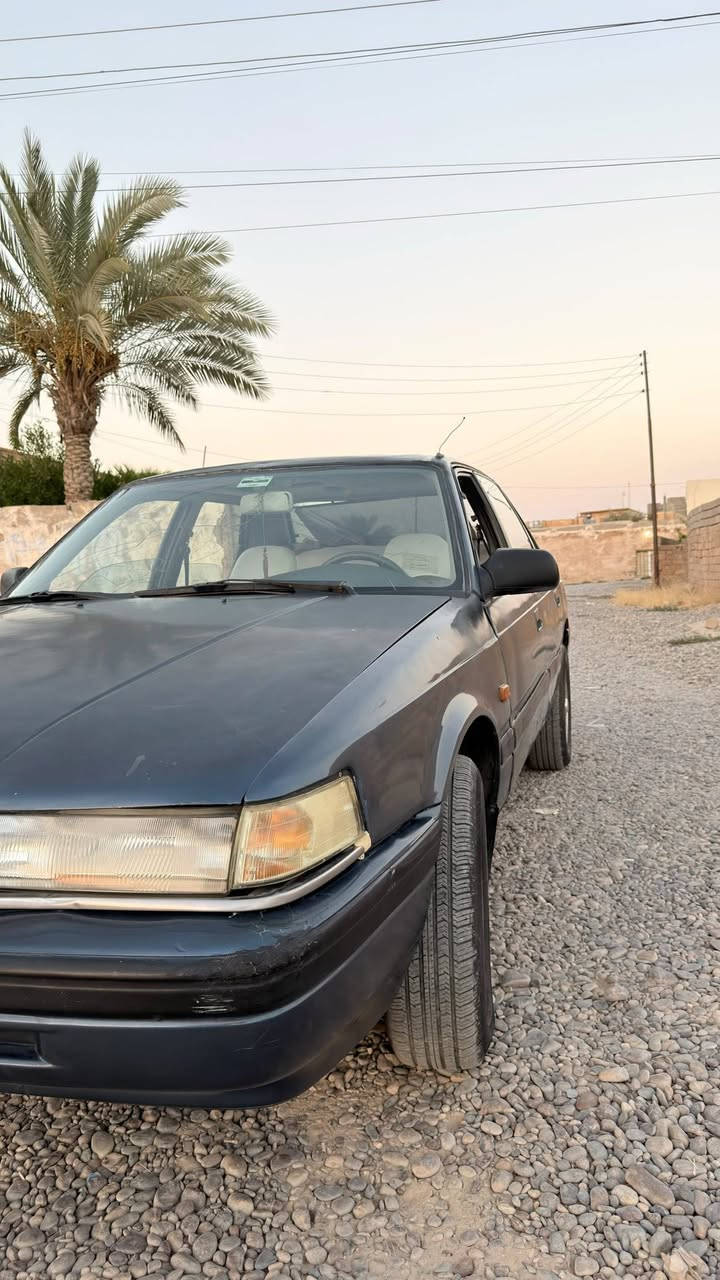 للبيع سياره مازدا
سياره مرتبه ونظيفه محرك وگير شرط كهربائيات كلها شغاله صبغ جماليه 

السعر:37 ورقه وبيها مجال قليل

📞للتواصل والأستفسار 
***********

📍الموقع:صلاح الدين _ناحية الحجاج قرية البوطعمه
