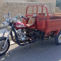 ستوته • اكسن • مكفول شاصي
