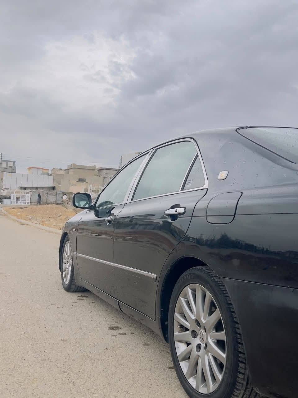 شاهين • ٢٠٠٧ • ماكو رقم