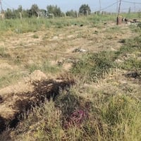 أرض زراعية • دونم ونص • خلف الخنساء
