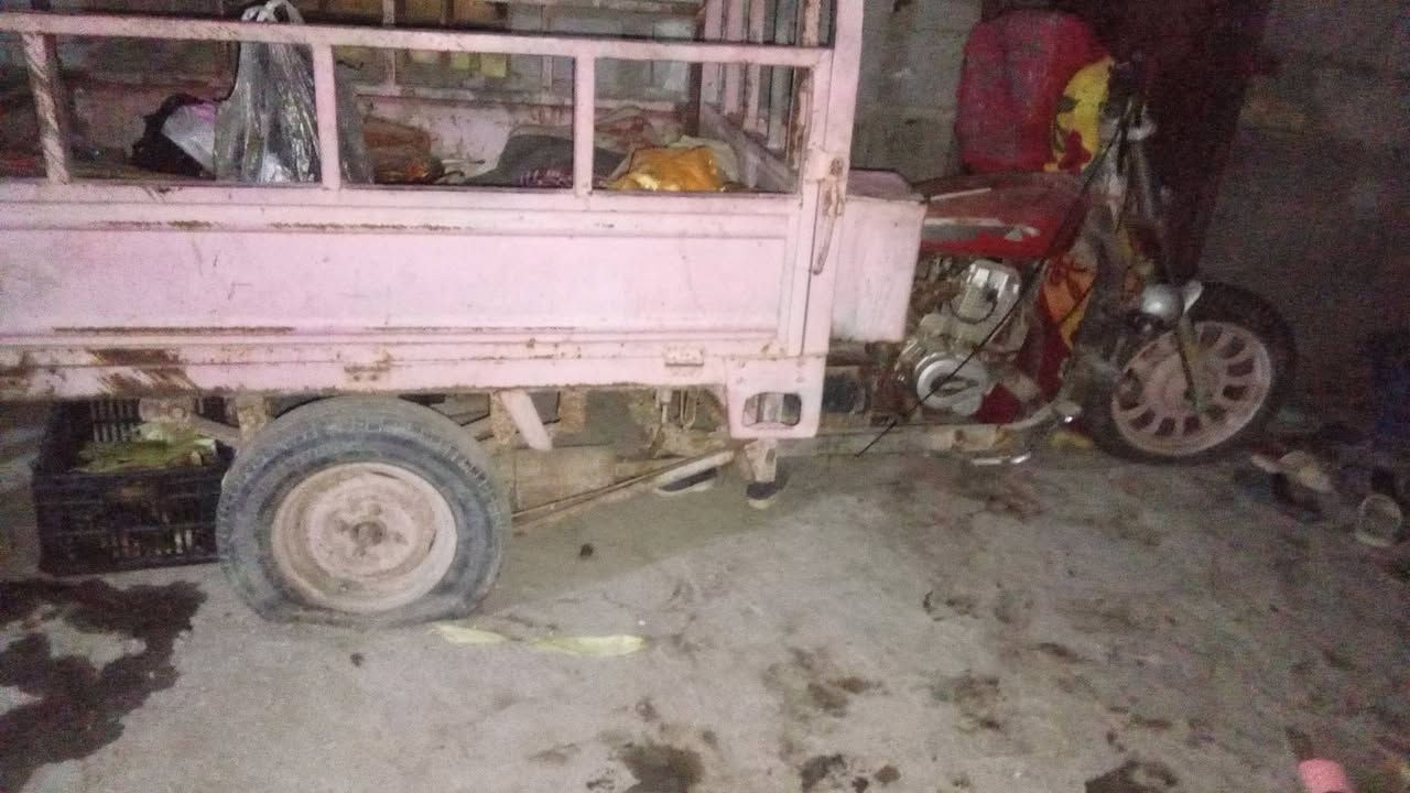 ستوته • للبيع