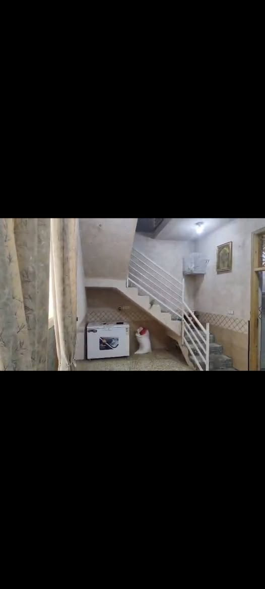 🏠🔥 (( بيع سريع )) 🔥🏠
🏡 دار للبيع – الحي العسكري

📍 الموقع: مقابل سيد أحمد، بجانب الملاعب

━━━━━━━━━━━━━━━━━━━━

📐 المساحة: 100 متر
📏 الأبعاد: 10 × 10

🧱 نوع البناء: بناء نظيف – صب + طابوق
🔧 الخدمات: كاملة

━━━━━━━━━━━━━━━━━━━━

🏠 تفاصيل الدار:

🛏️ غرفة نوم
🛋️ صالة
🍳 مطبخ
🚿 مجمع صحيات داخلي + خارجي

━━━━━━━━━━━━━━━━━━━━

💰 السعر: 66 مليون
💬 بيه مجال بسيط

━━━━━━━━━━━━━━━━━━━━

📞 للاستفسار:
***********

💬 مراسلة واتساب أو خاص فقط

━━━━━━━━━━━━━━━━━━━━

🏠 عندك عقار للبيع؟
📩 راسل الصفحة أو اتصل على الرقم الموجود بالمنشور.

📲 تابع الصفحة
🎵 وتابع حسابنا على التيك توك @إشارة
