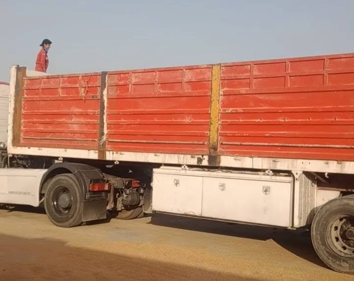 سلام عليكم جناب ألماني للبيع :*********** اني مكلف بل نشر
