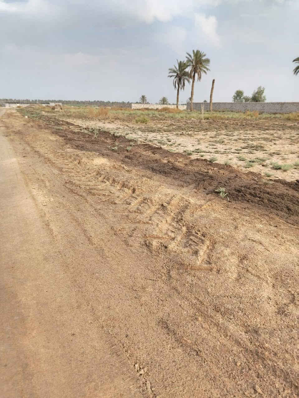 دونم • طابو زراعي • النجف الكوفه براكيه