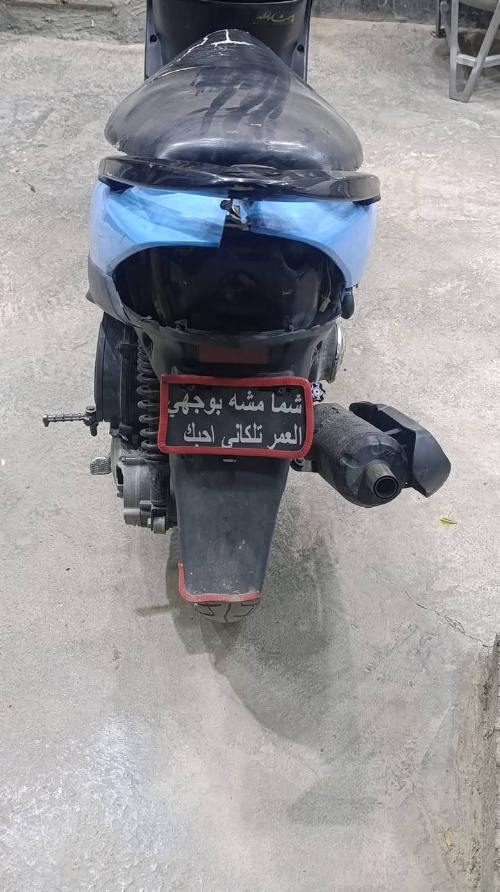 ماكس عدله • تزويد رياضي • ويل عنكبوت