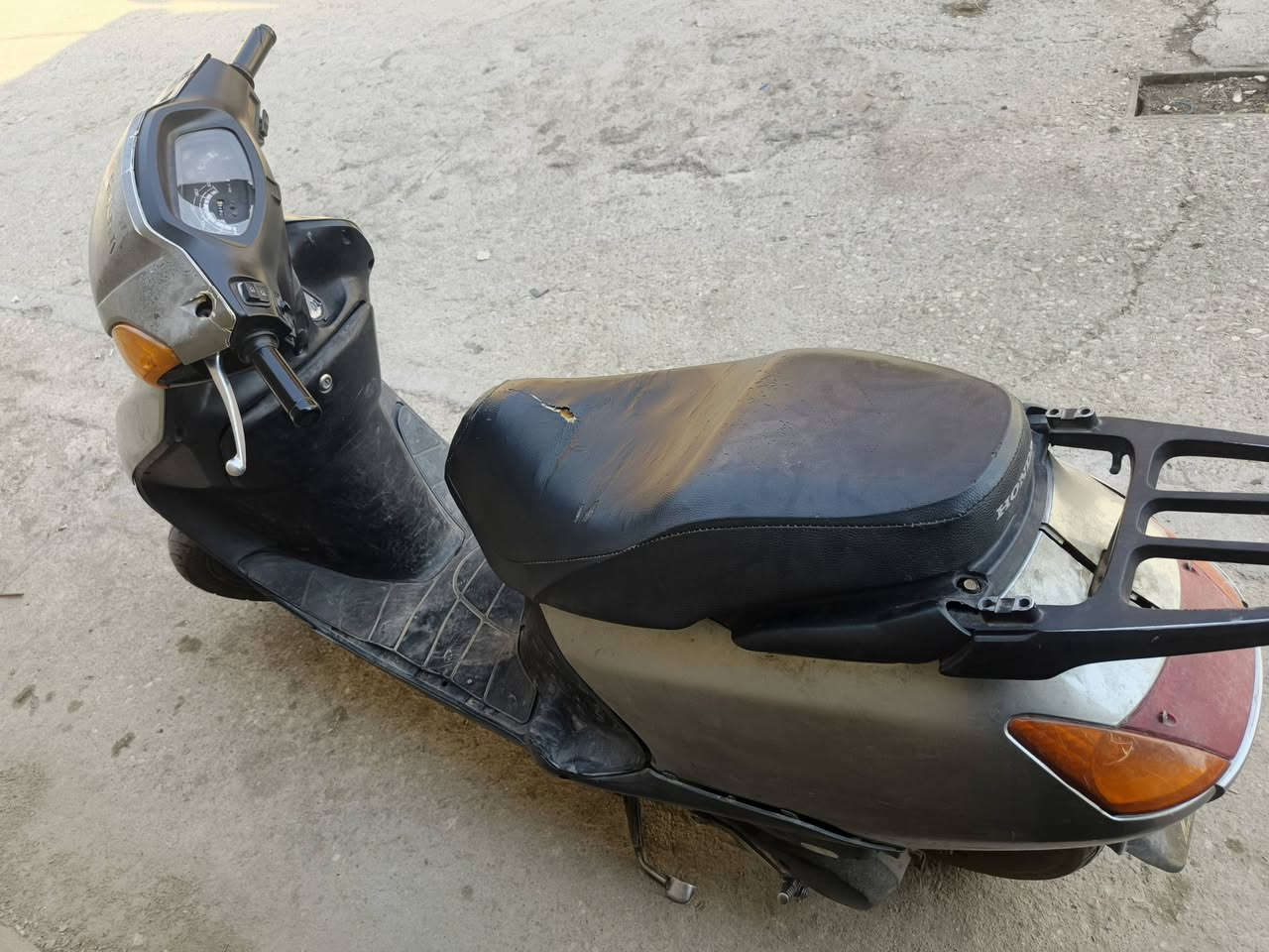 سبيسي • ياباني • كوت العزه