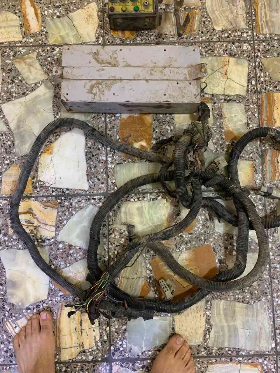 ضفيرة • كابسة • عقول