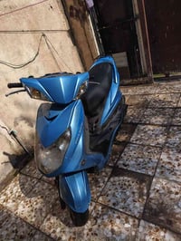 سكنس فحل • كابريتر • نعامة