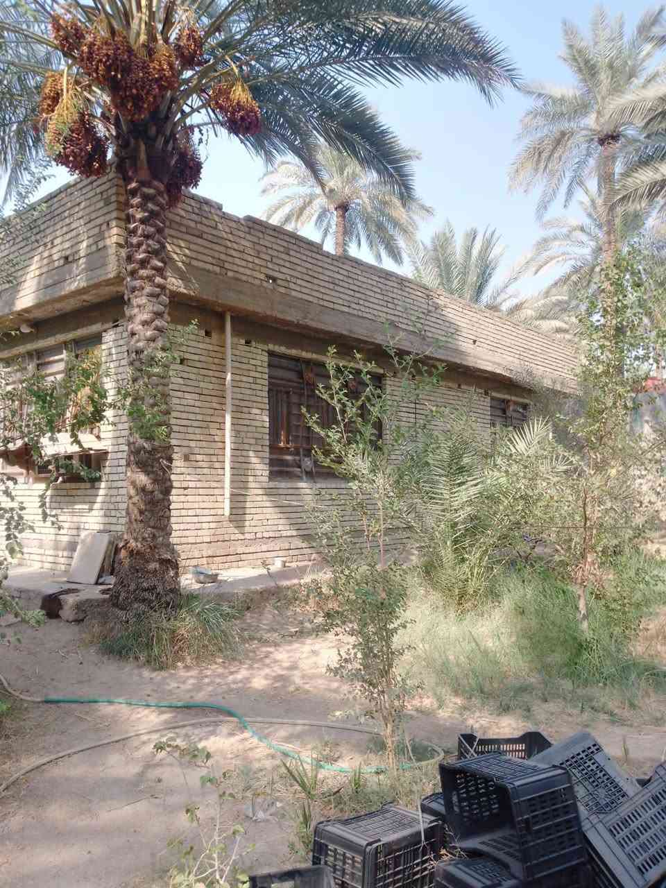 دونم • دار ٢٢٥م • طريق بغداد عمود ٥٤