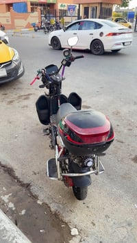 شحن • جبلي • موديل ٢٤