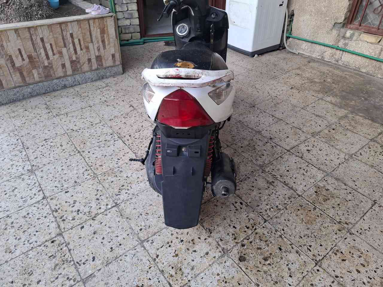 ثعلب ماكس • نظيفة • سلف