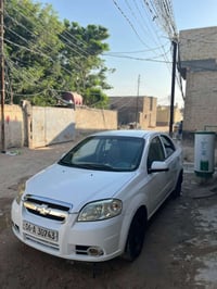 أفيو • ٢٠١٠ • نجف كوفه