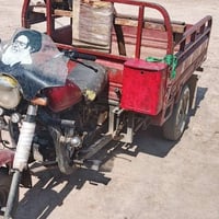 ستوته • ٢٠١٠ • كوت الوافدين