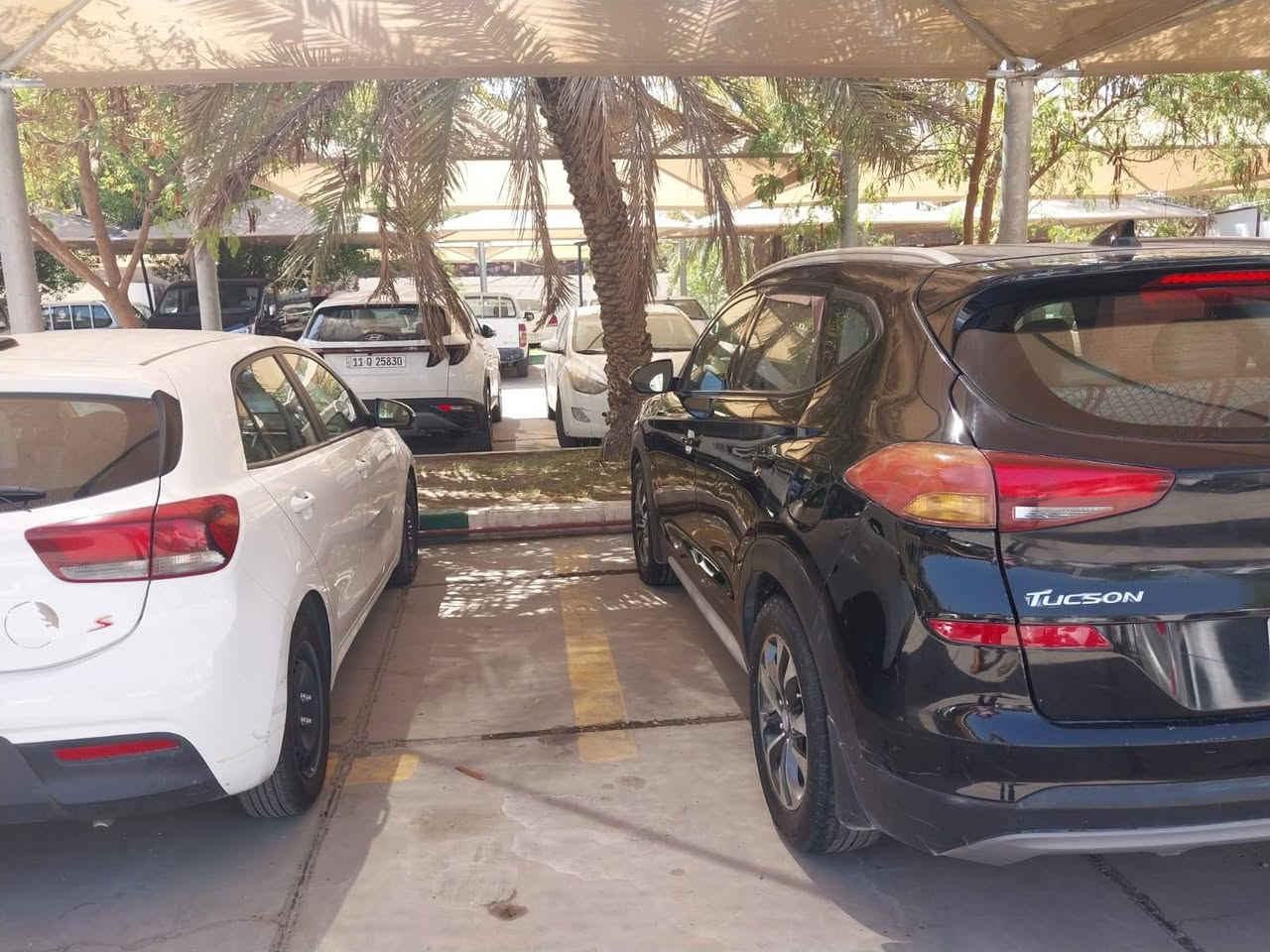 سلام عليكم من رخصت الكروب توسان للبيع موديل 19امريكي حادث موجود بل سونار رقم الهاتف 7878385889 سعر 135 وبيه مجال العنوان بغداد كوريش ***********
