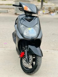 سكنس فحل • جديدة • موديل ١٦