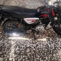 بوكسر جبلي • ٢٠٢٣ • مرقّم