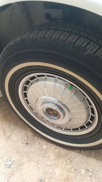 تخم كبات ابو الاسد 14 طبكه موس مكاني حله السعر 235 وبيهن مجال 07802030...