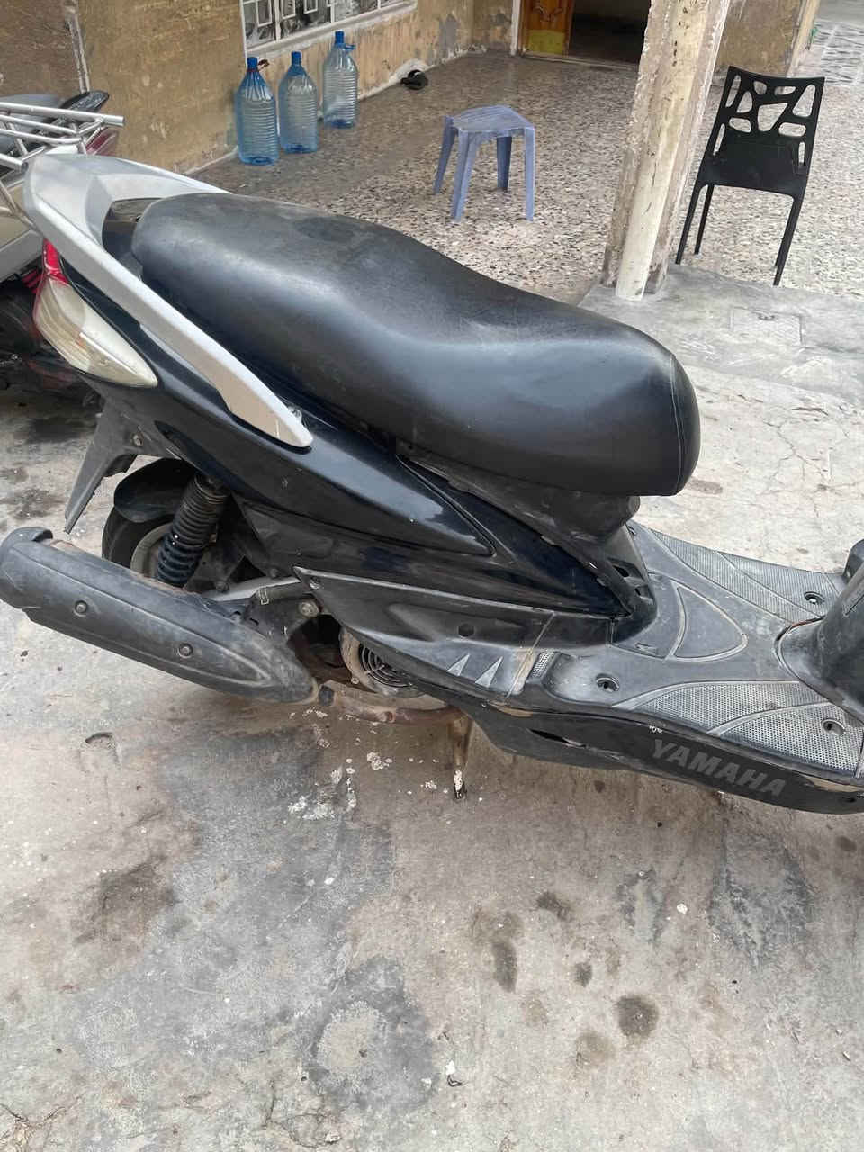 سكنس فحل • مكفولة • مامفتوح