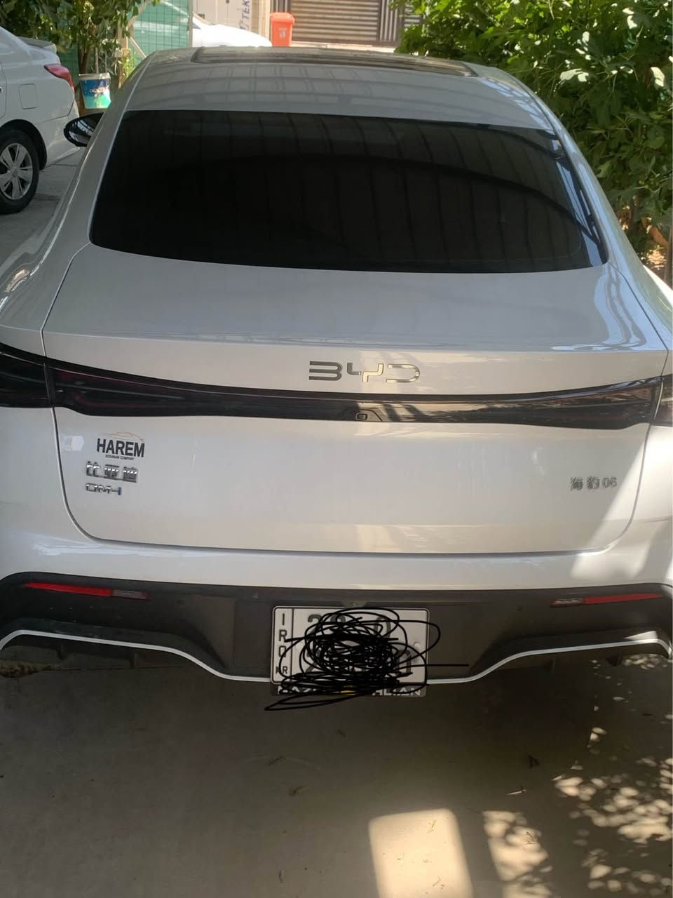 سيل 06
2025

٥ هةزار رويشتية فول ٥ كاميرة پاتري گةورة ١٢٠
رةقةم تةلةفون *********** أربيل, العراق
